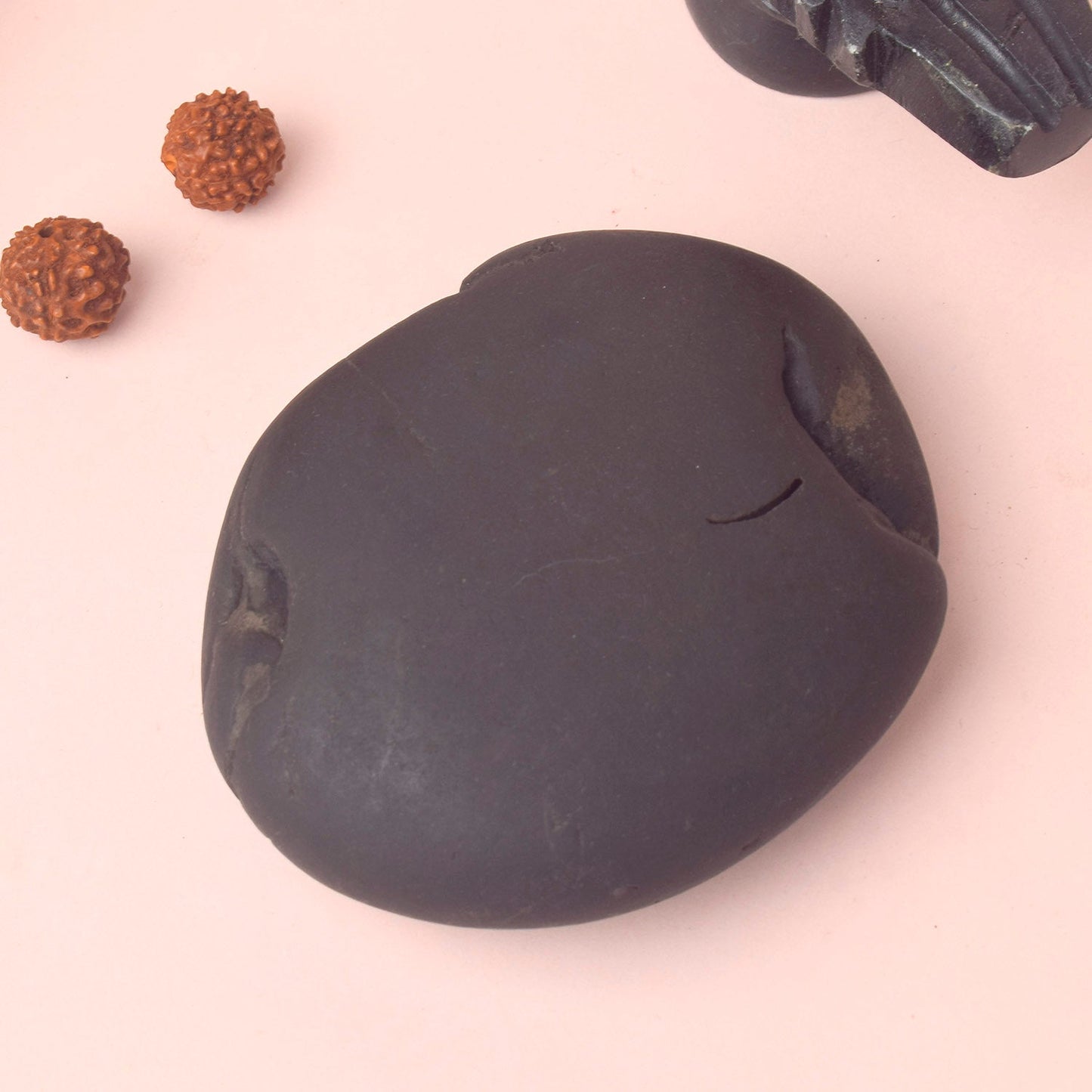 Original Kali Gandaki Vishnu Shaligram from Nepal River