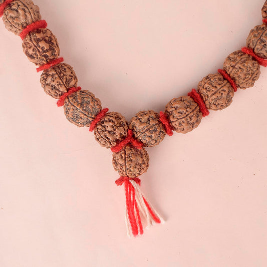 18mm 5 Mukhi Kanthi Pathriya Rudraksha Mala