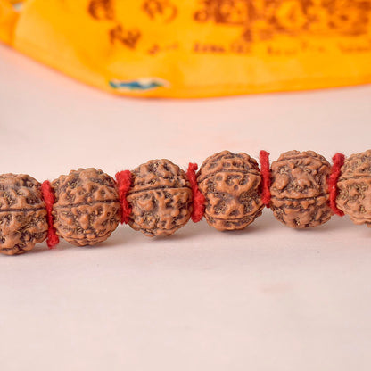 18mm 5 Mukhi Kanthi Pathriya Rudraksha Mala