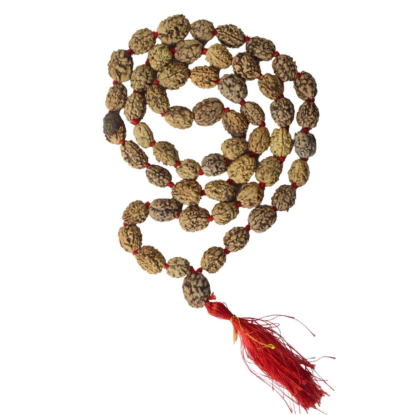 3 Mukhi Kantha Rudraksha Mala