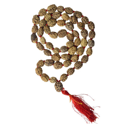 3 Mukhi Kantha Rudraksha Mala