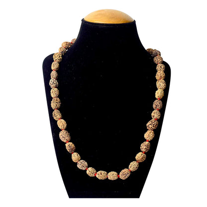 3 Mukhi Kantha Rudraksha Mala