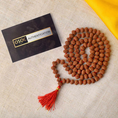 10 Mukhi Rudraksha Mala 9-10mm
